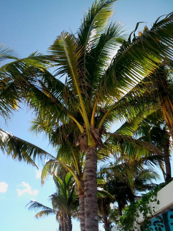 Appartamenti Melissa 2 Playa del Carmen Bilik gambar